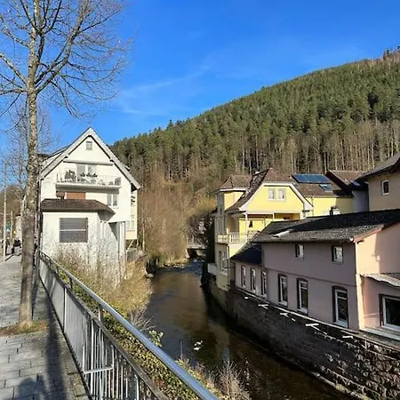 Typical In The Black Forest